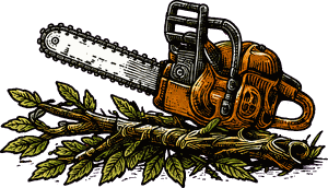 Tree care and property cleanup